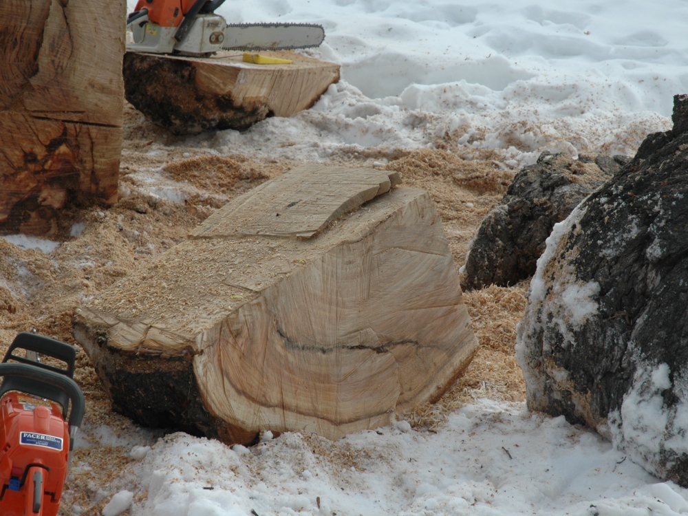 Cutting Up the Burl